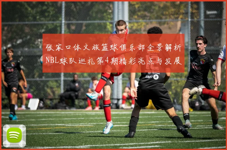 张家口体文旅篮球俱乐部全景解析NBL球队巡礼第4期精彩亮点与发展前景