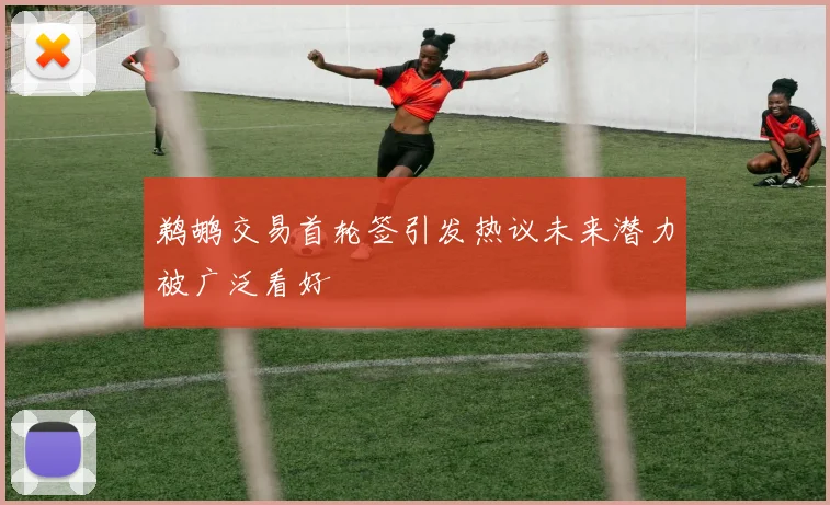 鹈鹕交易首轮签引发热议未来潜力被广泛看好